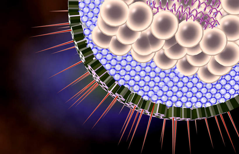 无人,横图,插画,室内,特写,白天,正面,数码,科技,微生物,阴影,黑色背景,网络,医学,细胞,高光,几何,计算机图形,合成,图画,画,生物,人体,电脑合成图,数码合成图,医疗,病毒,生物学,漫画,写实,具体,具象,寄生,生命体,生物病毒,疱疹,彩图