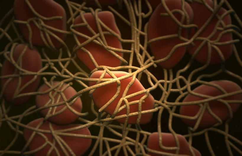 无人,横图,插画,室内,特写,白天,正面,数码,科技,静物,阴影,黑色背景,网络,医学,细胞,高光,几何,计算机图形,合成,图画,画,人体,电脑合成图,数码合成图,生物学,漫画,生理学,写实,具体,具象,血块,纤维蛋白,彩图