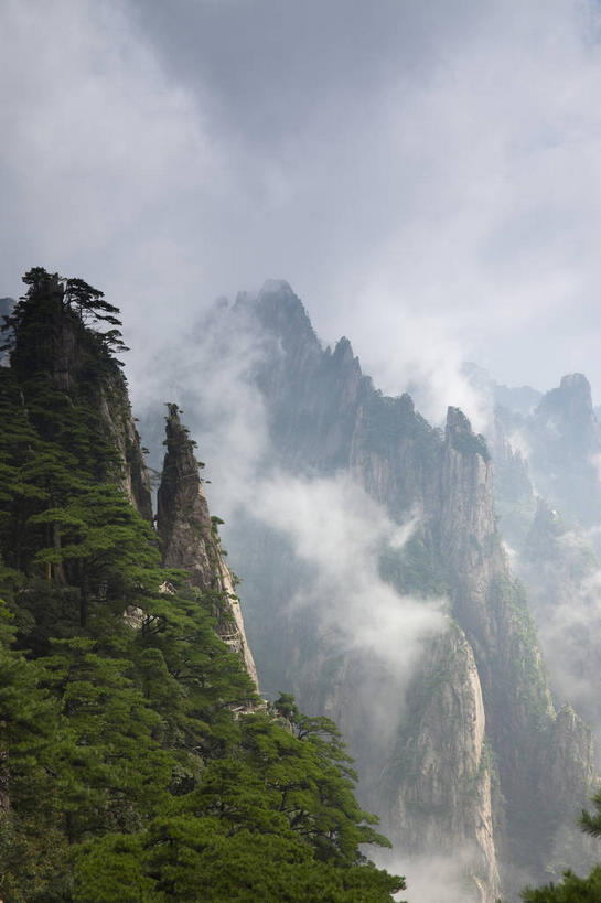 无人,竖图,室外,白天,正面,旅游,度假,黄山,美景,森林,山,山脉,树林,植物,雾,中国,亚洲,朦胧,模糊,景观,山峰,山峦,娱乐,树,树木,绿色,天空,自然,群山,天,享受,休闲,景色,放松,生长,成长,迷雾,自然风光,东亚,安徽,安徽省,黄山市,中华人民共和国,华东地区,皖,黟山,大雾,彩图,世界地质公园,天下第一奇山