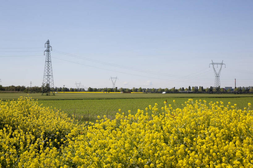 无人,农田,横图,室外,白天,正面,旅游,度假,庄稼,农作物,草地,草坪,花海,花圃,美景,植物,叶子,意大利,欧洲,阴影,盛开,电力,光线,钢材,电缆,电线,影子,支架,景观,花蕾,娱乐,电塔,草,花,花瓣,花朵,花卉,鲜花,树,树木,黄色,蓝色,绿色,蓝天,天空,阳光,自然,花丛,花束,花田,天,花苞,花蕊,油菜花,享受,休闲,景色,放松,生长,能源,晴朗,成长,支撑,资源,南欧,自然风光,供电设备,高压电塔,高压输电线,万里无云,意大利共和国,高压电线塔,高压塔,晴空,晴空万里,彩图,耕地,庄稼田,油菜花田,芸苔,芸薹,输电铁塔,输电塔