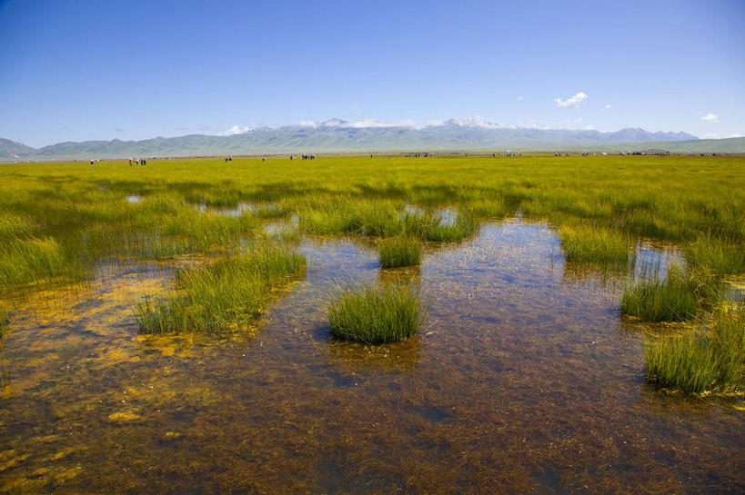 无人,横图,室外,白天,正面,旅游,度假,草地,草坪,湖,湖泊,美景,山,山脉,水,植物,中国,亚洲,阴影,光线,影子,湖面,景观,山峰,水流,水面,云,云朵,山峦,云彩,娱乐,草,蓝色,绿色,白云,倒影,蓝天,天空,阳光,自然,湖水,群山,天,享受,休闲,景色,放松,四川省,晴朗,倒映,自然风光,东亚,四川,阿坝,中华人民共和国,西南地区,阿坝藏族羌族自治州,阿坝州,川,反照,晴空,彩图,花湖,热尔大坝,若尔盖县,若尔盖