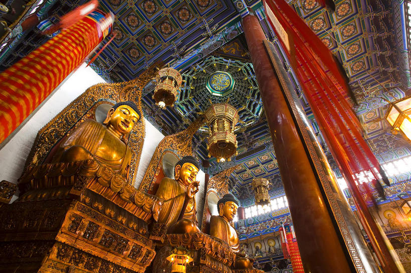 东方人,无人,三个人,寺庙,坐,盘腿,横图,室内,白天,仰视,旅游,度假,名胜古迹,天花板,标志建筑,地标,建筑,照明,雕塑,中国,亚洲,一排,阴影,节日,遗迹,艺术,整齐,装饰,光线,纹路,雕刻,雕像,纹理,影子,柱子,墙,灯光,燃烧,注视,黄种人,古迹,文化,文物,娱乐,建设,古建筑,江苏,吊灯,墙壁,墙面,灯,排列,香火,工艺品,灯具,庙宇,观察,看,祈祷,享受,休闲,健康,旅游胜地,放松,许愿,宗教,信仰,庞大,观看,纪念,复杂,祈求,照亮,美术,察看,照明设备,队列,关注,主题,陈列,古文明,东亚,江苏省,袈裟,肌理,中华人民共和国,华东地区,苏,功能,美学,镇江,镇江市,繁杂,金山寺,法衣,平安,男人,男性,年轻男性,亚洲人,盘腿而坐,盘膝,盘着腿的,盘着腿坐,双腿交叉,坐着,半身,彩图,低角度拍摄,庙,寺,加沙,迦逻沙曳,迦沙,袈裟野,莲服,僧衣