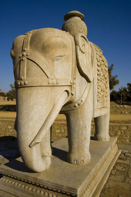 无人,站,竖图,室外,白天,正面,旅游,度假,名胜古迹,标志建筑,道路,地标,建筑,路,哺乳动物,大象,野生动物,雕塑,中国,亚洲,阴影,遗迹,艺术,装饰,光线,雕刻,雕像,影子,小路,交通,古迹,文物,娱乐,建设,古建筑,一个,阳光,动物,工艺品,站着,享受,休闲,墓地,旅游胜地,放松,单个,纪念,美术,坟墓,陵墓,主题,陈列,坟场,古文明,东亚,中华人民共和国,华北地区,功能,美学,河北,河北省,冀,唐山,唐山市,象,站立,彩图,全身,东陵,清东陵,遵化,遵化市