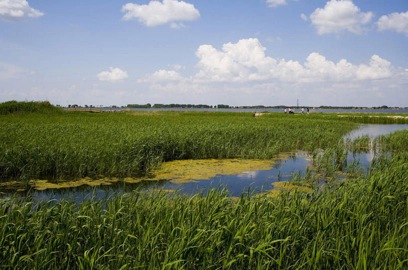 无人,横图,室外,白天,正面,旅游,度假,湖,湖泊,美景,水,植物,芦苇,中国,亚洲,阴影,光线,影子,湖面,景观,水流,水面,云,云朵,云彩,娱乐,树,树木,蓝色,绿色,白云,倒影,蓝天,天空,阳光,自然,湖水,天,享受,休闲,景色,放松,生长,晴朗,成长,黑,倒映,自然风光,东亚,黑龙江,黑龙江省,中华人民共和国,东北地区,齐齐哈尔,齐齐哈尔市,芦芛,反照,芦,苇,晴空,彩图,黑龙江扎龙国家级自然保护区,扎龙,扎龙保护区,扎龙自然保护区