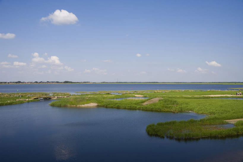 无人,横图,室外,白天,正面,旅游,度假,草地,草坪,湖,湖泊,美景,水,植物,中国,亚洲,阴影,光线,影子,湖面,景观,水流,水面,水平线,云,云朵,辽阔,海平线,云彩,娱乐,草,蓝色,绿色,白云,蓝天,天空,阳光,自然,湖水,天,享受,休闲,广阔,景色,放松,晴朗,一望无际,黑,自然风光,东亚,黑龙江,黑龙江省,中华人民共和国,东北地区,齐齐哈尔,齐齐哈尔市,无边无际,一马平川,晴空,彩图,黑龙江扎龙国家级自然保护区,扎龙,扎龙保护区,扎龙自然保护区,水天相接,水天一线