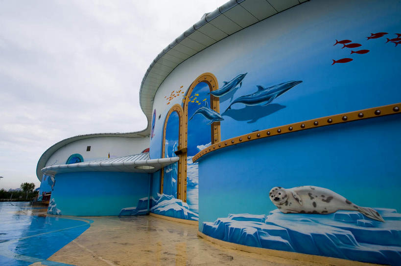 无人,家,横图,室外,白天,正面,度假,绘画,美景,城市风光,城市,道路,路,中国,亚洲,表演,艺术,装饰,纹路,纹理,房屋,墙,屋子,景观,乌云,云,阴天,云朵,小路,交通,云彩,文化,娱乐,楼房,水族馆,壁画,墙壁,墙面,住宅,天空,天,享受,休闲,展示,景色,放松,海底世界,展览,哈尔滨,华丽,修饰,黑,点缀,昏暗,阴沉,饲养,东亚,收集,黑龙江,黑龙江省,肌理,中华人民共和国,省会,衬托,美观,雅致,雅观,东北地区,哈尔滨市,海洋生物馆,极地海洋世界,画画,彩图,房子