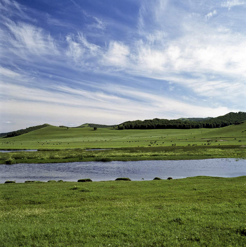 无人,竖图,室外,白天,正面,旅游,度假,草地,草坪,河流,美景,水,植物,中国,亚洲,阴影,光线,影子,河水,景观,水流,云,云朵,云彩,娱乐,草,树,树木,蓝色,绿色,白云,蓝天,天空,阳光,自然,天,享受,休闲,景色,放松,四川省,生长,晴朗,成长,自然风光,东亚,四川,阿坝,中华人民共和国,西南地区,阿坝藏族羌族自治州,阿坝州,川,理县,米亚罗,米亚罗风景区,晴空,彩图