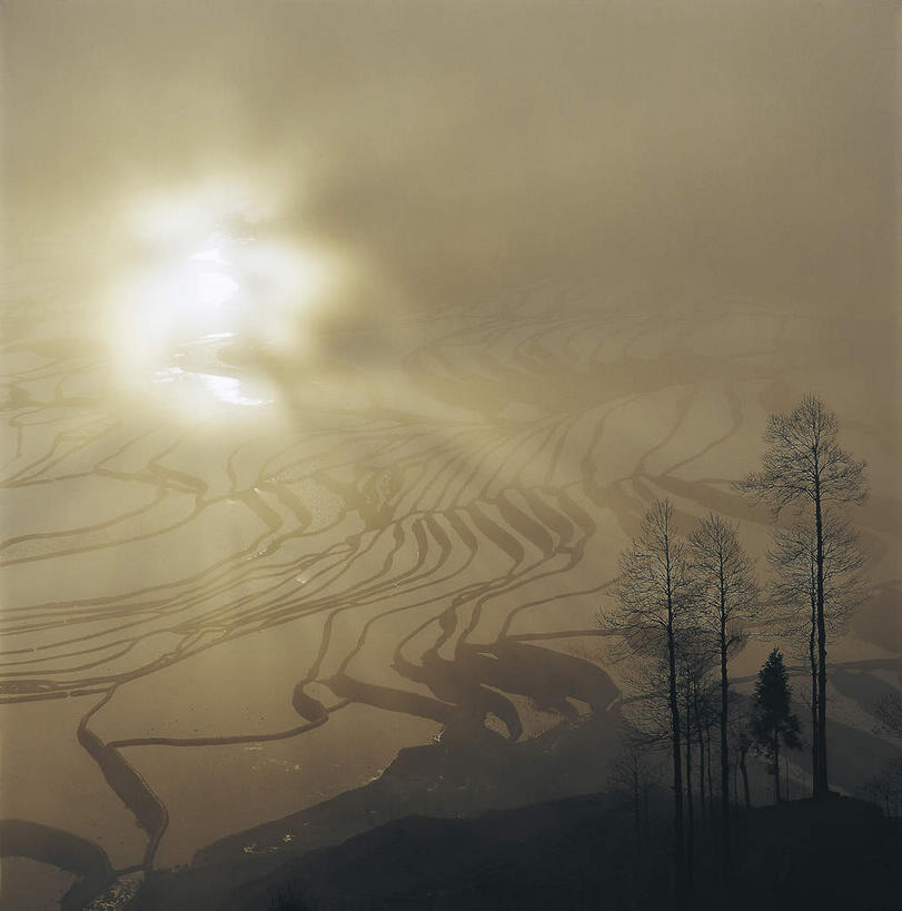 无人,农田,竖图,室外,白天,正面,旅游,度假,庄稼,梯田,农作物,美景,植物,雾,中国,亚洲,朦胧,模糊,曲折,弯曲,景观,乌云,云,阴天,云朵,背光,云彩,娱乐,云南,树,树木,绿色,天空,自然,天,享受,休闲,景色,放松,蜿蜒,生长,成长,迷雾,昏暗,阴沉,自然风光,逆光,东亚,元阳,云南省,中华人民共和国,西南地区,滇,红河,红河州,红河哈尼族彝族自治州,哀牢山,元阳梯田,元阳县,大雾,彩图,耕地,庄稼田,元阳哈尼族梯田