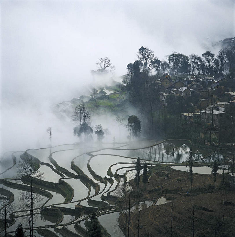 无人,农田,竖图,室外,白天,正面,旅游,度假,农业,庄稼,梯田,农作物,美景,山,山脉,树林,植物,雾,中国,亚洲,朦胧,模糊,曲折,弯曲,稻田,景观,山峰,乡村,农村,山峦,娱乐,云南,树,树木,绿色,倒影,自然,村庄,群山,享受,休闲,景色,放松,蜿蜒,生长,成长,村落,迷雾,倒映,自然风光,东亚,元阳,云南省,中华人民共和国,西南地区,滇,红河,红河州,红河哈尼族彝族自治州,屯子,墟落,反照,哀牢山,元阳梯田,元阳县,大雾,彩图,耕地,庄稼田,元阳哈尼族梯田