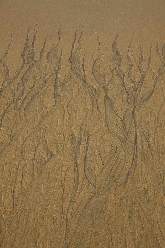 无人,竖图,俯视,室外,特写,白天,沙滩,中国,亚洲,阴影,光线,纹路,沙子,纹理,影子,海岸,褐色,沙地,海南,阳光,海南省,东亚,肌理,中华人民共和国,华南地区,琼,海滩,彩图,高角度拍摄,博鳌,博鳌镇,琼东,琼海,琼海市,博鳌玉带湾大酒店