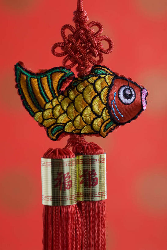 无人,竖图,室内,特写,白天,侧面,鲤鱼,静物,艺术,鱼,手工艺品,文化,水产,鱼类,一个,红色,工艺品,中国结,单个,吉祥,高雅,水生动物,饰物,水生物,自信心,品位,年年有余,美梦成真,事业有成,鲤子,鲤拐子,彩图,全身,淡水生物,河鲜