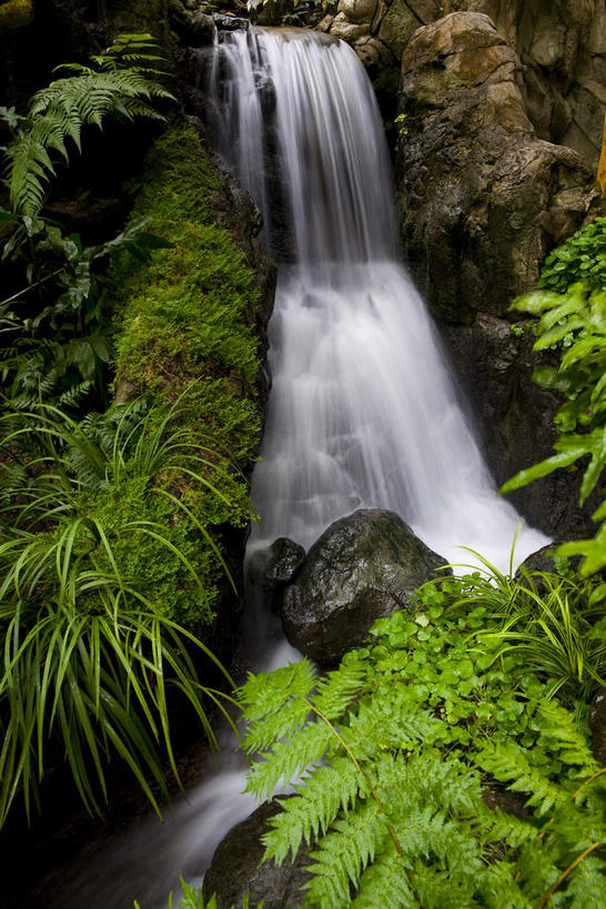 无人,竖图,俯视,室外,白天,度假,河流,石头,美景,水,植物,城市风光,城市,叶子,香港,中国,亚洲,飞溅,溅,石子,液体,河水,景观,水滴,水流,绿叶,娱乐,水珠,树,树木,绿色,小溪,自然,溪水,享受,休闲,嫩叶,景色,放松,生长,成长,港,喷洒,东亚,香港岛,香港特别行政区,港澳台,中华人民共和国,港岛,香港公园,红棉路,叶,叶片,石块,岩石,彩图,高角度拍摄