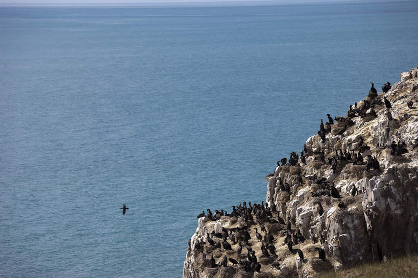 无人,站,横图,俯视,室外,白天,旅游,度假,岛屿,湖,湖泊,石头,美景,水,鸟,青海湖,鸟岛,中国,亚洲,许多,飞翔,伸展,张开,展翅,波纹,飞行,翅膀,鸟类,石子,岛,湖面,景观,水流,水面,涟漪,很多,翱翔,注视,娱乐,飞,水纹,自然,波浪,湖水,观察,看,站着,享受,休闲,景色,放松,观看,察看,关注,自然风光,东亚,张开翅膀,青海,青海省,中华人民共和国,水晕,西北地区,青,展开翅膀,咸水湖,列岛,群岛,石块,诸岛,站立,半身,彩图,高角度拍摄,青海湖鸟岛
