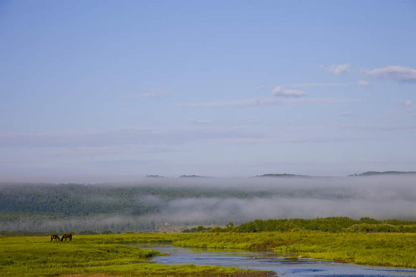 无人,横图,室外,白天,正面,旅游,度假,草地,草原,草坪,河流,美景,树林,水,植物,中国,亚洲,阴影,光线,影子,河水,景观,旷野,水流,云,云朵,云彩,娱乐,草,树,树木,蓝色,绿色,白云,蓝天,天空,阳光,自然,天,享受,休闲,景色,放松,蒙,生长,晴朗,成长,自然风光,原野,东亚,内蒙古,中华人民共和国,华北地区,内蒙古自治区,呼伦贝尔,呼伦贝尔市,晴空,彩图,额尔古纳,额尔古纳市