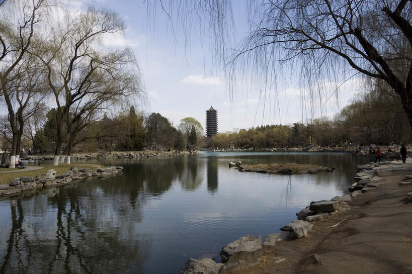 无人,学校,教学楼,横图,室外,白天,正面,旅游,度假,湖,湖泊,树林,水,植物,标志建筑,地标,建筑,北京,中国,亚洲,阴影,光线,影子,湖面,水流,水面,云,云朵,塔,首都,云彩,娱乐,建设,校园,树,树木,蓝色,绿色,白云,倒影,蓝天,天空,阳光,自然,湖水,人工湖,天,享受,休闲,教室,旅游胜地,放松,生长,晴朗,成长,倒映,东亚,海淀区,中华人民共和国,北京市,京,北平,华北地区,反照,晴空,彩图,教学大楼,北大,北京大学,京师大学堂,颐和园路,未名湖,博雅塔,一塔湖图