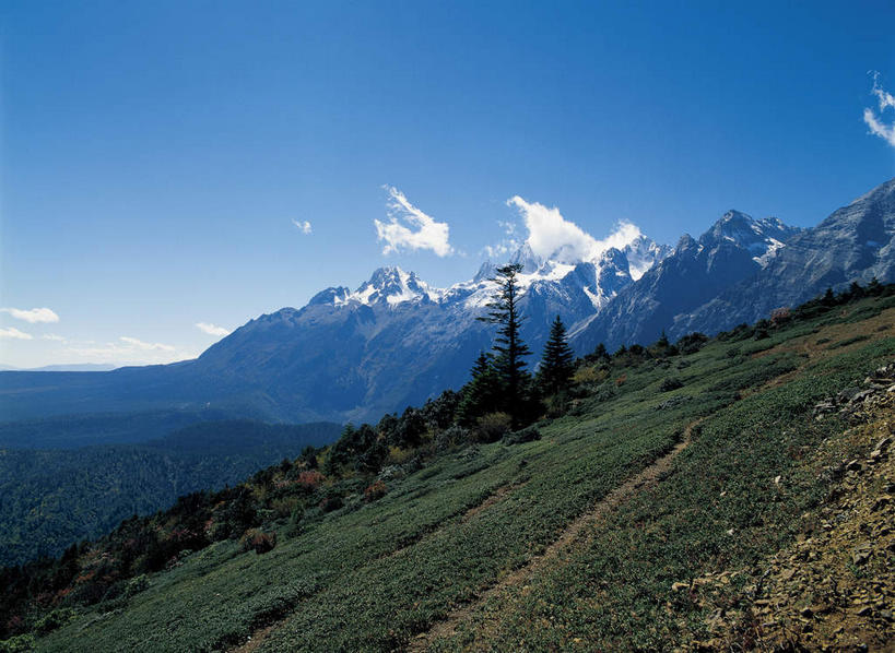 无人,横图,室外,白天,正面,旅游,度假,草地,草坪,美景,山,山脉,植物,丽江,中国,亚洲,阴影,光线,影子,景观,山峰,云,云朵,山峦,云彩,娱乐,云南,草,树,树木,玉龙雪山,蓝色,绿色,白云,蓝天,天空,阳光,自然,群山,天,享受,休闲,景色,放松,生长,晴朗,成长,自然风光,东亚,云南省,中华人民共和国,西南地区,滇,丽江市,波石欧鲁,黑白雪山,玉龙纳西族自治县,玉龙山,晴空,彩图