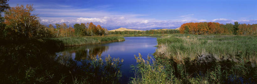 无人,横图,全景,室外,白天,正面,旅游,度假,草地,草坪,湖,湖泊,美景,山,山脉,水,天际线,植物,棕榈树,叶子,中国,亚洲,阴影,光线,影子,湖面,景观,山峰,水流,水面,云,云朵,绿叶,山峦,云彩,娱乐,草,树,树木,蓝色,绿色,白云,倒影,蓝天,天空,阳光,自然,湖水,群山,天,享受,休闲,嫩叶,景色,放松,生长,晴朗,成长,倒映,自然风光,东亚,棕榈叶,新疆,白沙湖,阿勒泰地区,伊犁,中华人民共和国,新疆维吾尔自治区,西北地区,阿勒泰,阿勒泰市,伊犁哈萨克自治州,反照,叶,叶片,晴空,棕树,棕榈,彩图,哈巴河,哈巴河县,新