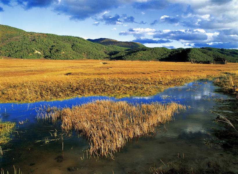 无人,横图,室外,白天,正面,旅游,度假,湖,湖泊,美景,秋季,森林,树林,水,植物,香格里拉,中国,亚洲,阴影,枯萎,光线,影子,湖面,景观,水流,水面,云,云朵,枯草,云彩,娱乐,迪庆,云南,草,树,树木,黄色,蓝色,绿色,白云,倒影,蓝天,天空,阳光,自然,湖水,天,享受,休闲,景色,放松,生长,晴朗,成长,倒映,自然风光,东亚,中甸,迪庆藏族自治州,云南省,中华人民共和国,西南地区,滇,迪庆州,反照,香格里拉县,晴空,秋,秋天,彩图,小中甸镇