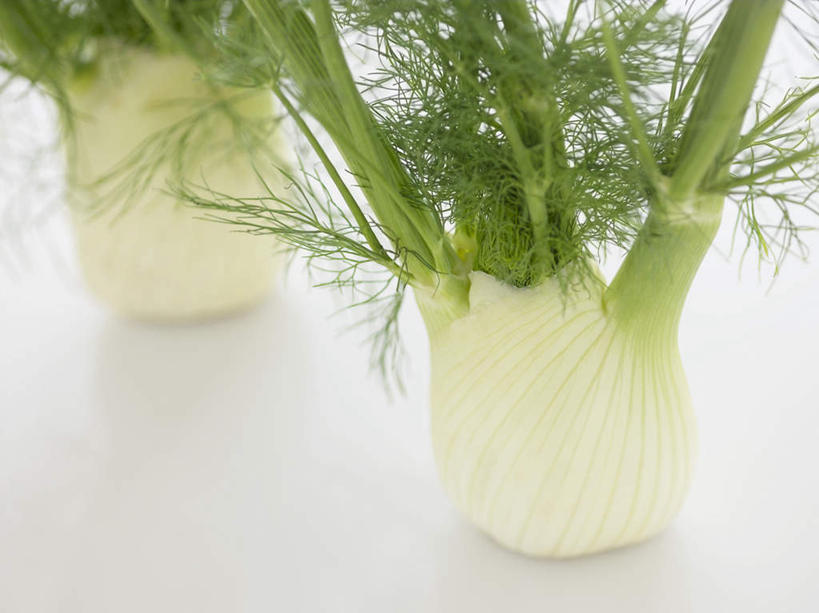 无人,横图,俯视,室内,特写,白天,白色背景,桌面,桌子,两棵,阴影,反射,木制,影子,木制品,茴香,摄影,影棚,球茎茴香,甜茴香,意大利茴香,彩图,高角度拍摄,影棚拍摄,拍摄