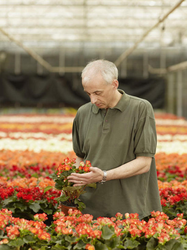 西方人,一个人,花匠,站,竖图,室内,白天,正面,花海,花圃,植物,叶子,欧洲,欧洲人,仅一个男性,仅一个人,仅一个中年男性,握,服装,盛开,拿,花蕾,温室,拿着,注视,休闲装,花,花瓣,花朵,花卉,鲜花,衣服,绿色,花丛,花束,花田,花苞,花蕊,低头,观察,看,站着,休闲,休闲服,握着,服饰,设施,观看,察看,暖房,防寒,关注,加温,透光,保温,垂头,男人,男性,中年男性,白种人,园丁,站立,半身,彩图