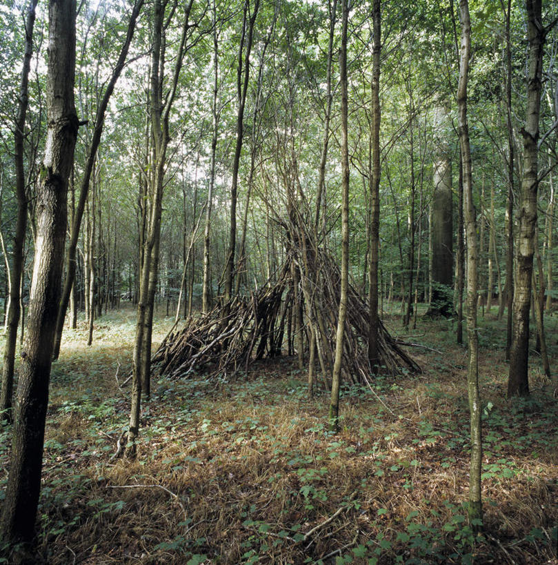 无人,家,竖图,室外,白天,正面,旅游,度假,美景,树林,植物,比利时,欧洲,一座,阴影,光线,影子,房屋,屋子,草屋,景观,首都,娱乐,住宅,树,树木,绿色,阳光,自然,茅草屋,享受,休闲,景色,放松,生长,成长,西欧,自然风光,布鲁塞尔,比利时王国,彩图,房子,茅舍,茅屋,小屋