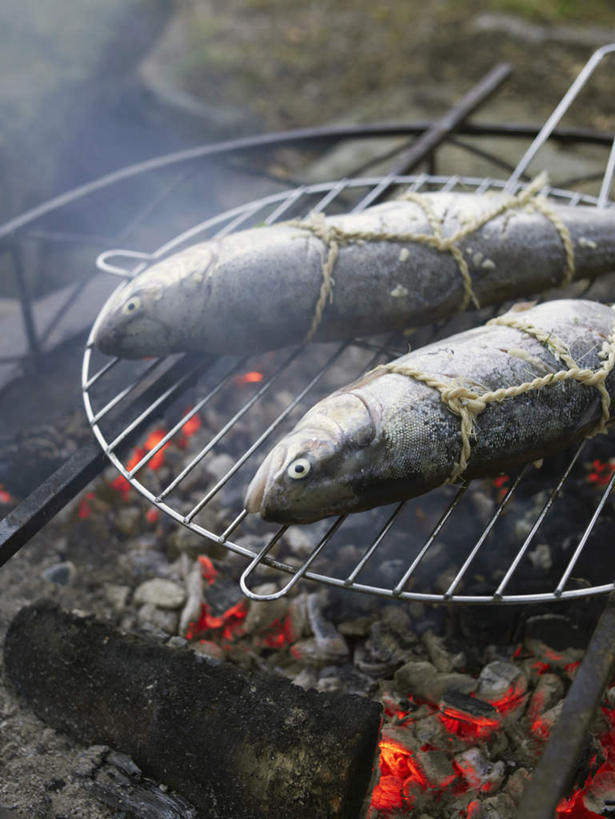 无人,竖图,俯视,室外,特写,白天,旅游,度假,烧烤,热情,草地,草坪,植物,火,两条,朦胧,模糊,鱼,火焰,木材,帐篷,烟雾,烤架,烤肉,燃烧,娱乐,鱼类,木柴,草,绿色,享受,休闲,烟,铁架,放松,木料,捆绑,篝火,露营,野营,宿营,柴禾,彩图,高角度拍摄