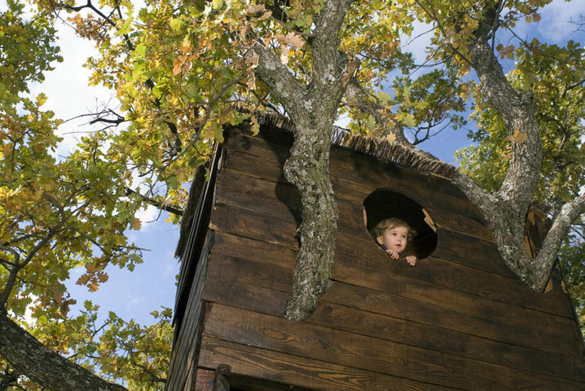 西方人,儿童,一个人,家,木屋,站,笑,微笑,横图,室外,白天,仰视,纯洁,植物,欧洲,欧洲人,仅一个女性,仅一个人,阴影,服装,光线,影子,云,云朵,云彩,注视,休闲装,住宅,树,树木,小孩,衣服,蓝色,绿色,白云,蓝天,天空,阳光,自然,天,观察,看,站着,仅一个小孩,休闲,休闲服,可爱,童年,童趣,服饰,生长,晴朗,成长,观看,察看,关注,童真,烂漫,无邪,天真,女孩,女人,女性,白种人,孩子,晴空,站立,半身,彩图,低角度拍摄,茅舍,茅屋,棚屋,小木屋,小屋,树屋,女生