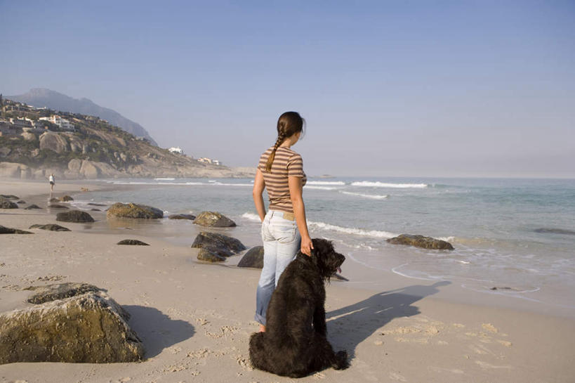 西方人,一个人,站,横图,室外,白天,海浪,海洋,石头,沙滩,宠物,狗,欧洲,欧洲人,仅一个年轻女性,仅一个女性,仅一个人,牵,阴影,服装,裤子,光线,沙子,石子,影子,海岸,浪花,沙地,牛仔裤,休闲装,一只,背面,衣服,蓝色,黑色,蓝天,天空,阳光,海水,动物,天,站着,休闲,休闲服,可爱,服饰,晴朗,牵着,寻回犬,海景,忠诚,万里无云,寻回狗,年轻女性,女人,女性,白种人,大海,风浪,海,海水的波动,海滩,近岸浪,石块,岩石,涌浪,晴空,晴空万里,犬,站立,彩图,全身,平毛寻回猎犬,平毛寻回犬