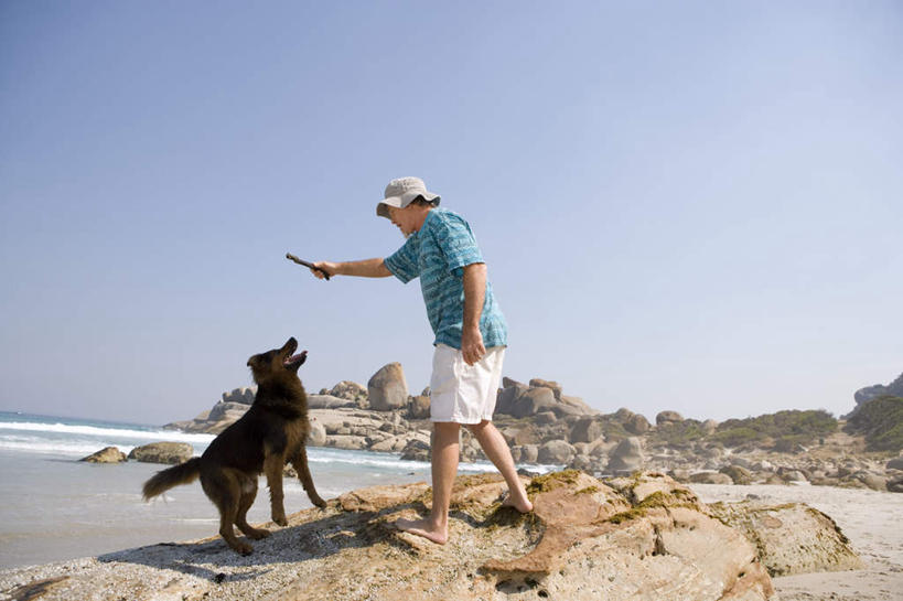 西方人,一个人,站,投,横图,室外,白天,仰视,海浪,海洋,石头,沙滩,宠物,狗,帽子,欧洲,欧洲人,仅一个男性,仅一个人,仅一个中年男性,握,阴影,服装,光线,沙子,石子,影子,海岸,浪花,沙地,拿,拿着,注视,休闲装,一只,衣服,蓝色,蓝天,天空,阳光,海水,动物,遮阳帽,天,观察,看,站着,休闲,休闲服,可爱,握着,服饰,晴朗,观看,察看,关注,寻回犬,海景,忠诚,万里无云,寻回狗,男人,男性,中年男性,白种人,大海,风浪,海,海水的波动,海滩,近岸浪,石块,岩石,涌浪,晴空,晴空万里,犬,抛,扔,撒,站立,掷,彩图,低角度拍摄,全身,平毛寻回猎犬,平毛寻回犬