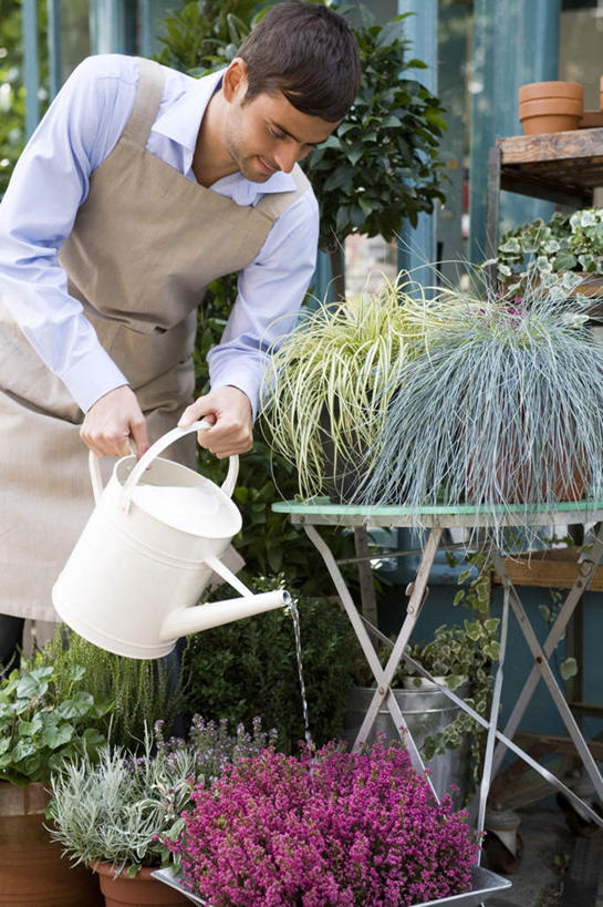 西方人,一个人,花商,花店,商店,站,竖图,室外,白天,正面,工作服,制服,植物,欧洲,欧洲人,仅一个男性,仅一个人,握,阴影,光线,壶,盆栽,围裙,影子,盆景,洒水壶,注视,商铺,浇水,水壶,仅一个年轻男性,绿色,白色,阳光,自然,低头,观察,看,站着,握着,生长,成长,观看,察看,关注,浇水壶,市肆,商号,工作制服,男人,男性,年轻男性,白种人,花店老板,花贩,卖花人,站立,半身,彩图,工作套服,店铺