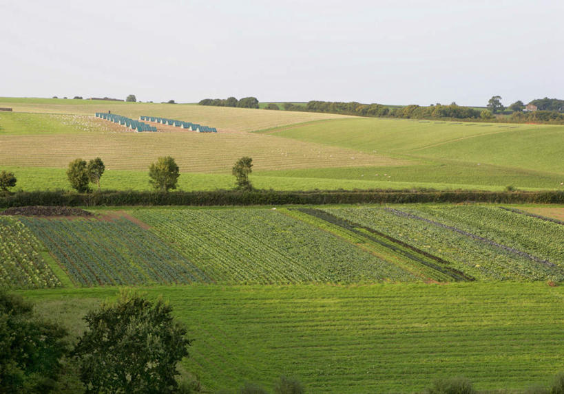 无人,农田,横图,俯视,室外,白天,旅游,度假,庄稼,农作物,美景,植物,英国,欧洲,景观,娱乐,树,树木,蓝色,绿色,蓝天,天空,自然,天,享受,休闲,景色,放松,生长,晴朗,成长,西欧,自然风光,大不列颠,大不列颠及北爱尔兰联合王国,万里无云,大不列颠联合王国,日不落英帝国,德文郡,晴空,晴空万里,彩图,高角度拍摄,耕地,庄稼田