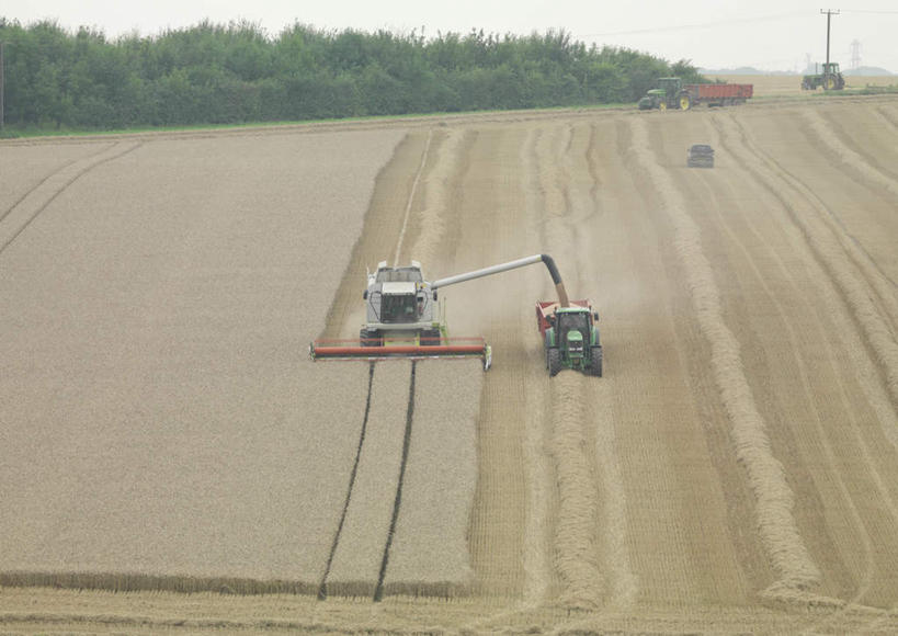 无人,农田,横图,俯视,室外,白天,庄稼,农作物,收割,树林,植物,工具,麦田,树,树木,蓝色,绿色,蓝天,天空,自然,天,生长,晴朗,成长,收割机,农具,万里无云,脱粒,晴空,晴空万里,彩图,高角度拍摄,耕地,庄稼田