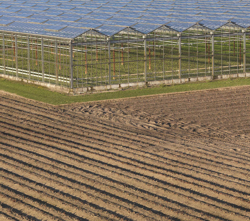 无人,农田,横图,俯视,室外,白天,庄稼,农作物,美景,欧洲,荷兰,一排,整齐,并列,并排,景观,温室,排列,自然,景色,设施,暖房,防寒,西欧,队列,加温,自然风光,透光,平行,保温,荷兰王国,尼德兰王国,彩图,高角度拍摄,耕地,庄稼田