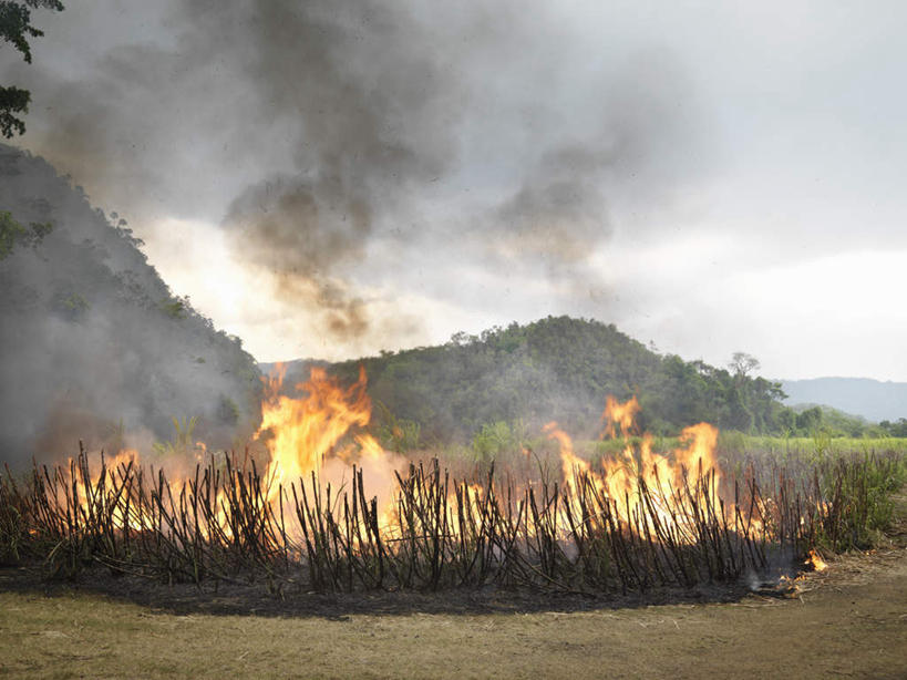 无人,农田,横图,室外,白天,正面,热情,庄稼,农作物,美景,山,山脉,火,牙买加,火焰,景观,山峰,山峦,燃烧,自然,群山,景色,南美,南美洲,拉丁美洲,火灾,灾难,自然风光,美洲,亚美利加洲,南亚美利加洲,劫难,磨难,灾祸,彩图,耕地,庄稼田,灾害