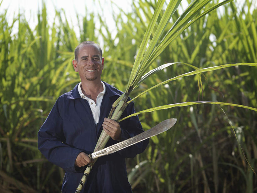 西方人,一个人,农民,农田,站,横图,室外,白天,正面,工作服,制服,庄稼,农作物,水果,叶子,欧洲,欧洲人,仅一个男性,仅一个人,仅一个中年男性,一把,握,阴影,丰富,丰收,新鲜,光线,影子,生食,食品,果实,绿叶,甘蔗,丰盛,注视,食物,蓝色,蓝天,天空,阳光,天,观察,看,站着,嫩叶,握着,有机食品,绿色食品,晴朗,观看,察看,关注,镰刀,农具,万里无云,农人,耕具,工作制服,丰登,丰硕,糖蔗,竹蔗,割刀,男人,男性,中年男性,白种人,叶,叶片,晴空,晴空万里,农夫,站立,半身,彩图,工作套服,耕地,庄稼田