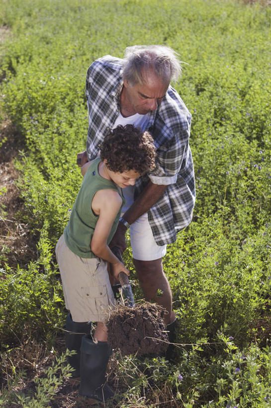 西方人,儿童,老年人,两个人,家庭,祖父,农田,站,竖图,俯视,室外,白天,纯洁,庄稼,农作物,欧洲,欧洲人,握,服装,铲子,拿,拿着,注视,休闲装,小孩,衣服,观察,看,挖,站着,休闲,温暖,温馨,一家人,休闲服,可爱,童年,童趣,握着,服饰,爷爷,观看,祖孙,和睦,察看,关注,童真,烂漫,无邪,外公,外祖父,外孙,外孙子,掘,天真,老年男性,男孩,男人,男性,白种人,孩子,孙子,站立,彩图,高角度拍摄,全身,耕地,庄稼田,融洽,男生
