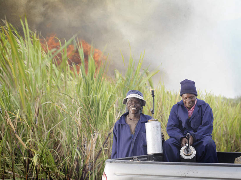 西方人,两个人,伙伴,朋友,站,坐,笑,微笑,露齿笑,横图,室外,白天,正面,工作服,制服,友谊,热情,合作,团队,火,帽子,水果,金属制品,欧洲,非洲,黑人,欧洲人,握,服装,新鲜,金属,壶,火焰,生食,食品,果实,甘蔗,燃烧,拿,拿着,注视,运动帽,食物,衣服,容器,观察,看,站着,鸭舌帽,战略,握着,服饰,有机食品,绿色食品,观看,储藏,察看,衣着,储存,穿着,关注,油壶,联合,合谋,工作制服,衣饰,糖蔗,竹蔗,配合,协作,男人,男性,年轻男性,年轻女性,女人,女性,非洲人,站立,坐着,半身,彩图,工作套服,贮存