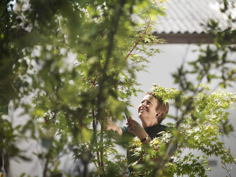 西方人,一个人,家,站,举,横图,室外,白天,正面,工作服,制服,植物,欧洲,欧洲人,仅一个女性,仅一个人,握,修剪,朦胧,模糊,工具,剪刀,房屋,屋子,拿,拿着,注视,楼房,住宅,绿色,自然,看,托,站着,握着,仅一个老年女性,生长,成长,裁剪,剪子,剪裁,切割,关注,工作制服,老年女性,女人,女性,白种人,举起,举手,举着,抬头,向上举,向上伸,向上托,仰头,站立,半身,彩图,工作套服,房子