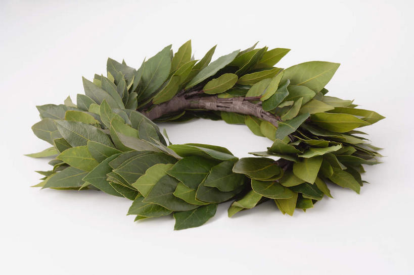 横图,俯视,特写,白天,白色背景,运动服,快乐,兴奋,骄傲,成功,胜利,静物,叶子,服装,绿叶,衣服,嫩叶,自信,摄影,服饰,影棚,衣着,草本,穿着,桂冠,月桂叶,香叶,天竺桂,香桂叶,桂叶,衣饰,月桂,叶,叶片,半身,彩图,高角度拍摄,影棚拍摄,欢乐,开心,拍摄,运动装