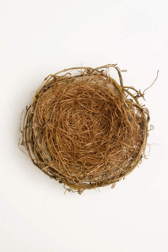 无人,竖图,俯视,室内,特写,白天,白色背景,鸟巢,鸟窝,干草,一个,草垛,摄影,影棚,单个,干草垛,彩图,高角度拍摄,影棚拍摄,拍摄