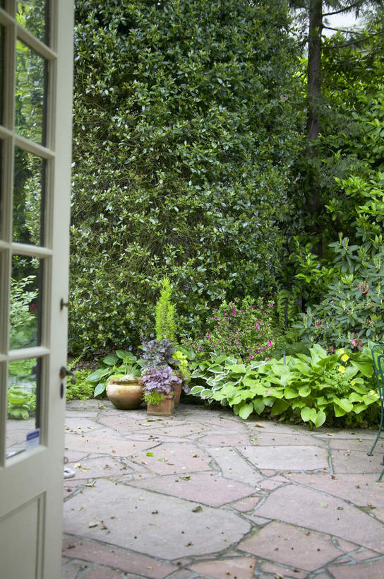 无人,竖图,室外,白天,正面,石头,植物,门,道路,路,环保,石子,小路,防护,交通,树,树木,绿色,自然,门框,生长,成长,美好,美妙,间隔,美观,雅观,绿篱,生篱,树篱,植篱,石块,岩石,彩图