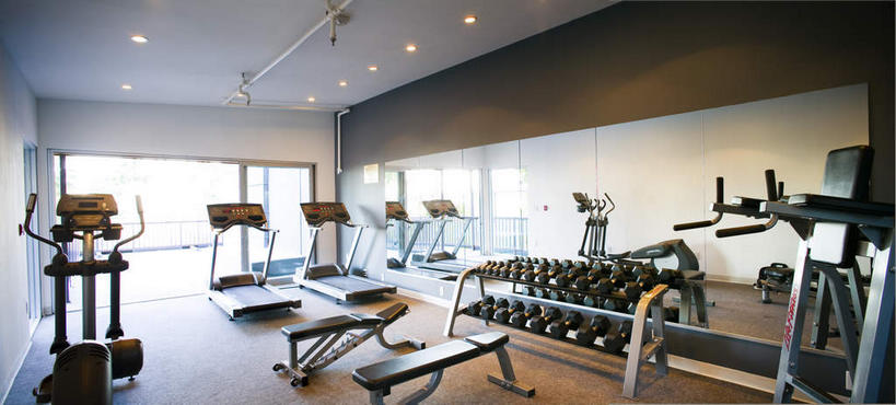 无人,健身房,横图,室内,白天,正面,窗户,照明,一排,许多,阴影,整齐,并列,并排,光线,影子,墙,灯光,很多,运动器械,顶灯,玻璃窗,墙壁,墙面,灯,排列,灯具,健身器械,照亮,照明设备,队列,健身器材,平行,彩图,健身馆,运动器材,跑步机