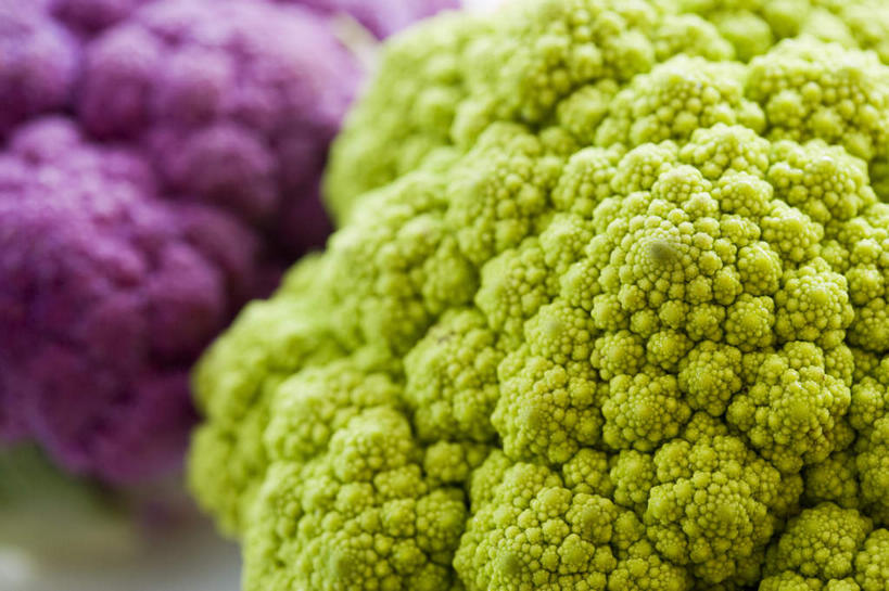 无人,横图,俯视,室内,特写,白天,蔬菜,朦胧,模糊,新鲜,花菜,花椰菜,西兰花,食品,食物,绿色,紫色,摄影,有机食品,绿色食品,影棚,椰菜花,甘蓝花,彩图,高角度拍摄,影棚拍摄,拍摄