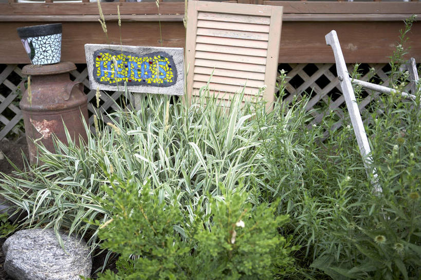 无人,花园,横图,俯视,室外,特写,白天,花圃,石头,植物,叶子,盆栽,石子,绿叶,盆景,绿色,自然,嫩叶,生长,成长,叶,叶片,石块,岩石,小花园,彩图,高角度拍摄