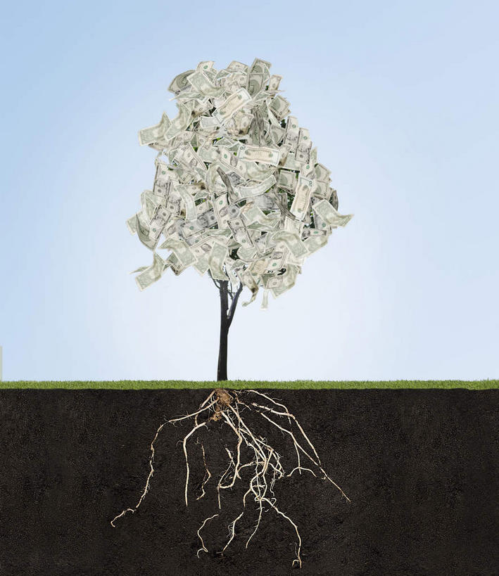 无人,竖图,室外,白天,正面,旅游,度假,美景,植物,阴影,光线,影子,景观,泥土,土壤,树根,娱乐,树,树木,蓝色,绿色,蓝天,天空,阳光,自然,天,享受,休闲,景色,放松,生长,晴朗,成长,自然风光,万里无云,晴空,晴空万里,彩图