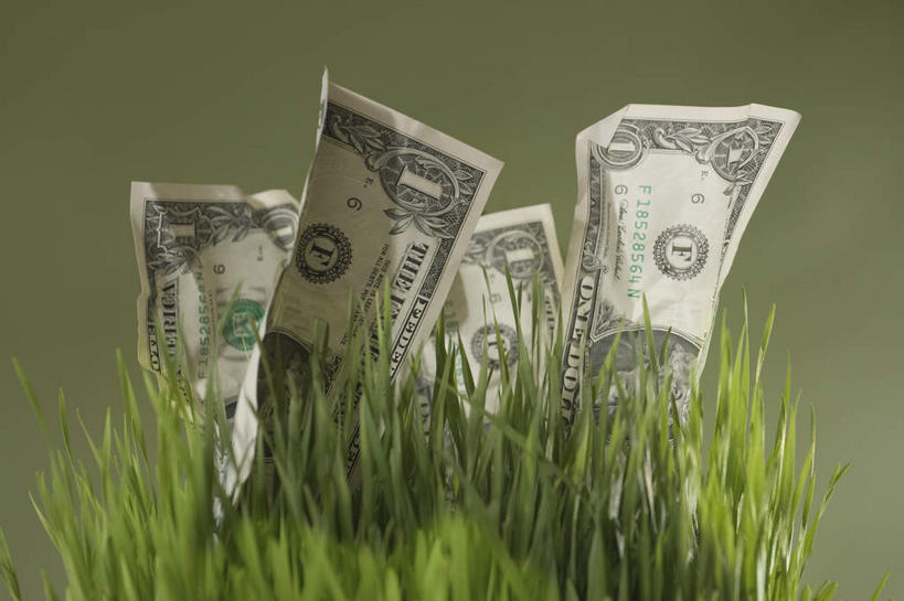 无人,横图,室内,特写,白天,正面,钱,美元,草地,草坪,植物,叶子,灰色背景,钱币,绿叶,四张,美金,草,绿色,嫩叶,钞票,金融,纸币,摄影,影棚,经济,美圆,流通,纸钞,贸易,货币,现金,叶,叶片,彩图,影棚拍摄,拍摄