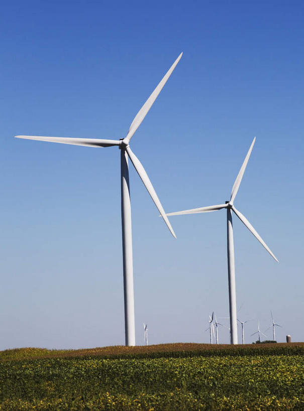 无人,竖图,室外,白天,正面,旅游,度假,农业,风能,风力发电机,草地,草原,美景,植物,风车,美国,阴影,环保,电力,光线,影子,地平线,景观,旷野,辽阔,地面,娱乐,设备,草,两个,蓝色,绿色,蓝天,天空,阳光,自然,天,享受,休闲,广阔,发电,机械,景色,放松,工业,能源,晴朗,一望无际,资源,北美,北美洲,风力机,自然风光,原野,延伸,美洲,利用,低碳,伊利诺斯州,万里无云,伊利诺伊,伊利诺伊州,伊利诺州,天地相交,林肯之地,北亚美利加洲,亚美利加洲,无边无际,一马平川,风力发电,晴空,晴空万里,彩图