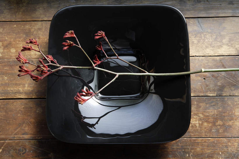 无人,横图,俯视,室内,特写,白天,植物,餐桌,桌子,餐具,盛开,碟子,盘,草药,药草,花蕾,中药,花,花瓣,花朵,鲜花,一个,红色,盘子,碟,花苞,花蕊,单个,餐台,药材,中草药,紫花苜蓿,苜蓿,中药材,本草,牧草,紫苜蓿,彩图,高角度拍摄