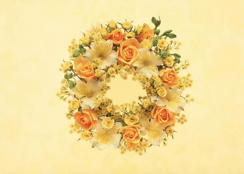 无人,横图,俯视,室内,特写,白天,爱情,幸福,纯洁,热情,植物,玫瑰,叶子,许多,盘绕,黄色背景,环绕,盛开,围绕,花环,绿叶,玫瑰花,浪漫,环抱,花,花瓣,花朵,花卉,鲜花,一个,黄色,白色,花蕊,温暖,温馨,嫩叶,菊花,恩爱,摄影,小白菊,影棚,缭绕,单个,和睦,感动,尊敬,钮扣菊,天真,刺玫花,徘徊花,叶,叶片,彩图,高角度拍摄,影棚拍摄,拍摄,融洽