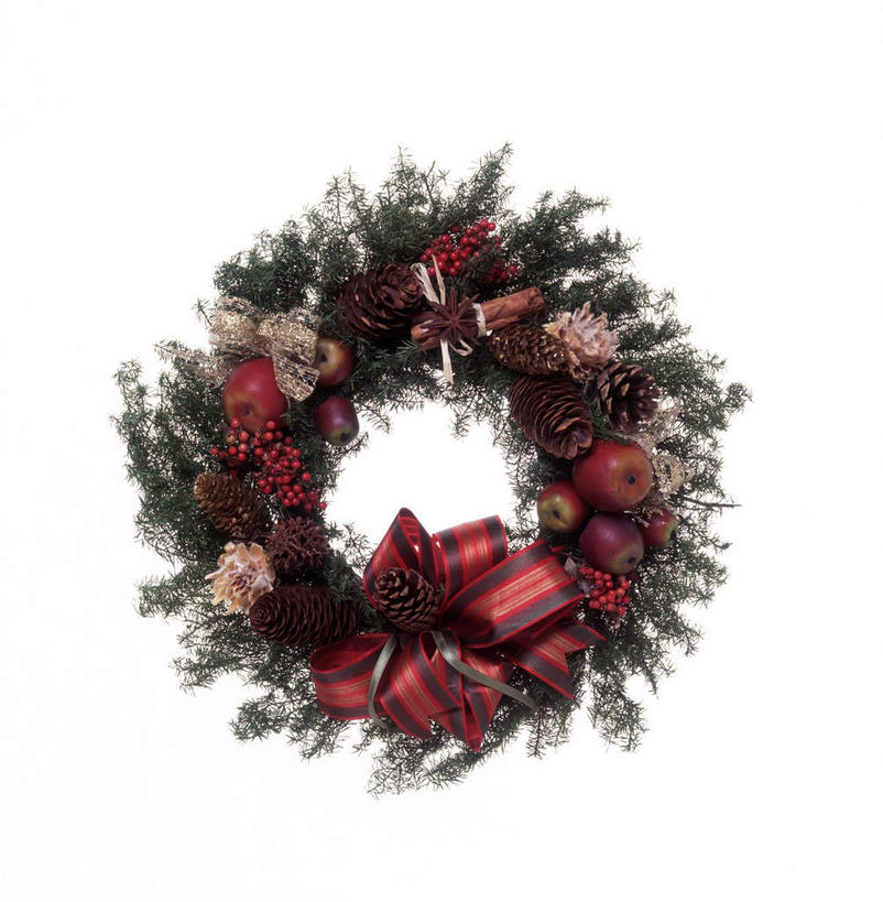 无人,竖图,室内,白天,白色背景,正面,苹果,樱桃,水果,叶子,许多,新鲜,装饰,盛开,花环,丝绸,丝带,生食,食品,果实,绿叶,缎带,很多,花蕾,绸带,花,花瓣,花朵,鲜花,食物,花苞,花蕊,嫩叶,摄影,有机食品,绿色食品,影棚,华丽,修饰,点缀,恶心,衬托,美观,雅致,雅观,叶,叶片,樱珠,莺桃,英桃,楔桃,牛桃,荆桃,彩图,影棚拍摄,拍摄